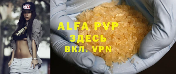 индика Балабаново