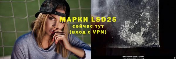 индика Балабаново