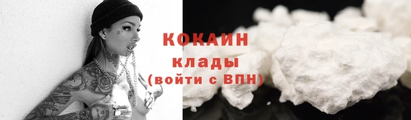 индика Балабаново