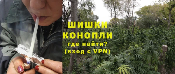 индика Балабаново