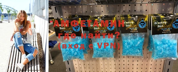 индика Балабаново