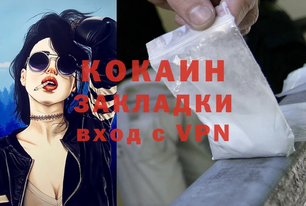индика Балабаново