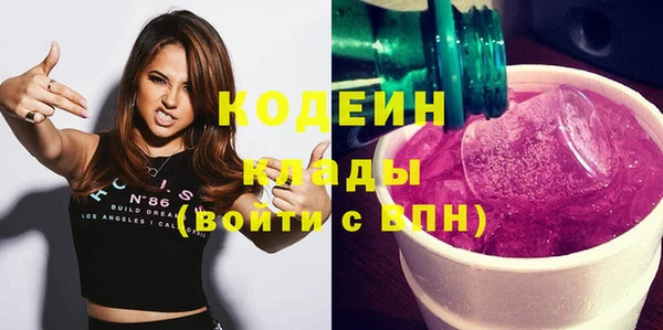 индика Балабаново