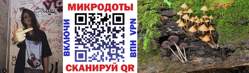 Галлюциногенные грибы Cubensis  Усть-Катав 